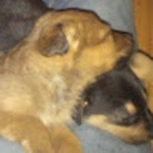 Meet your Posher, Nathan